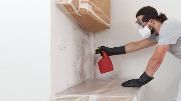 Professional Basement Mold Remediation technician working in Bellaire, MI